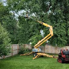 Best Fruit Tree Pruning  in Velda City, MO